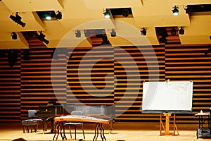 Chinese ancient zither