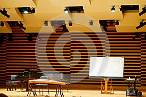 Chinese ancient zither