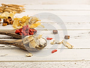 Chinese Angelica Root and chinese medicine