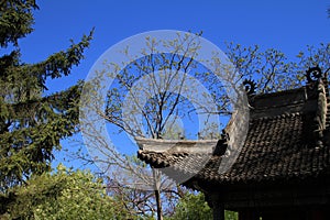 Chinese antique Architecture pavilion roof