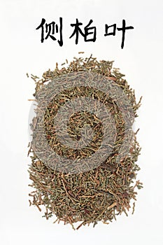 Chinese Arborvitae Herb photo