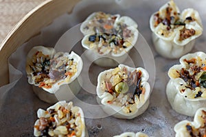 Chinese authentic traditional dish: Cantonese style shumai with rice and pork beef, closeup