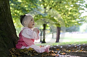 Chinese baby sitting under tree