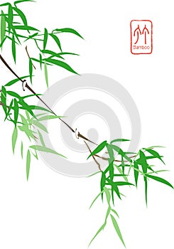 Chinese Bamboo