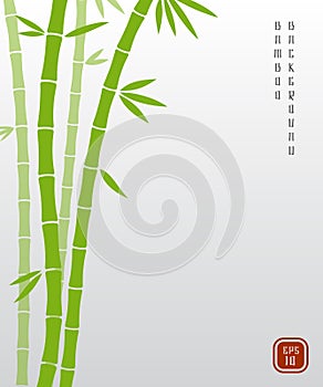 Chinese bamboo or japanese bambu asian vector background photo