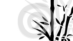 Chinese bamboo trees