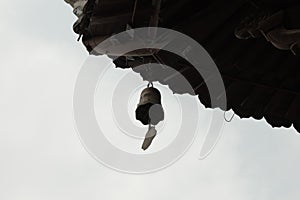 chinese bell under the temple`s roof