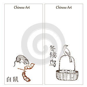 Chinese birds, basket of fruits, rat and hieroglyph vector illustration, banners set. Traditional oriental ink painting