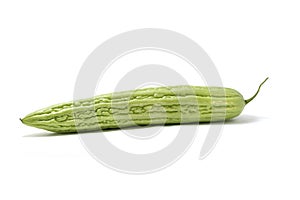Chinese bitter melon or bitter squash on white background.