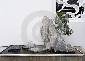 Chinese bonsai rock and tree