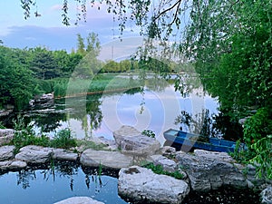 Chinese Botanical garden