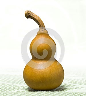 chinese bottle gourd