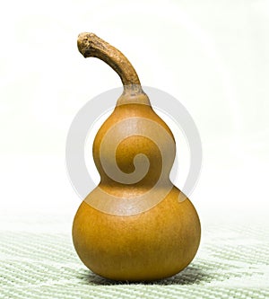 chinese bottle gourd photo