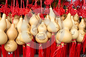 Chinese Bottle Gourd