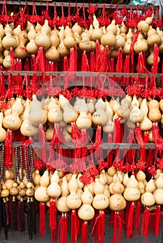 Chinese Bottle Gourd