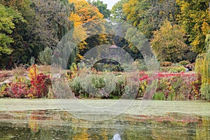 The Chinese Bridge in Olexandria Park