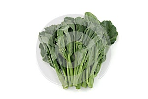 Chinese broccoli