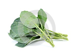 Chinese broccoli