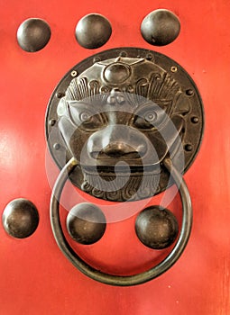 Chinese bronz lion knob on red gate doors