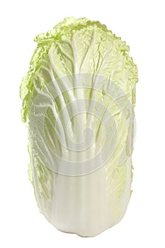 Chinese cabage