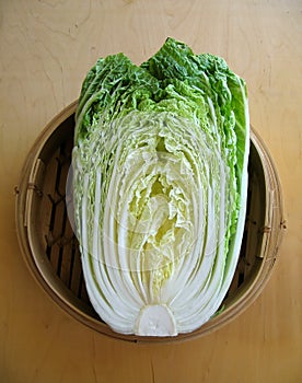 Chinese Cabbage