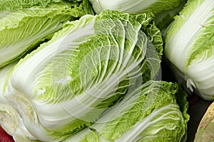 Chinese cabbage