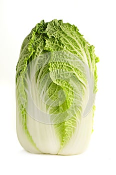 Chinese cabbage.