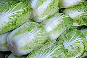 Chinese cabbage