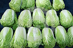 Chinese cabbage