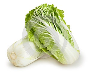 Chinese cabbage