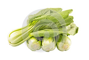 Chinese Cabbage Or Bok Choy II