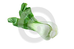 Chinese cabbage bok choy, pak-choi.