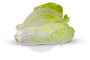 Chinese cabbage Brassica rapa subsp. pekinensis isolated on a white background