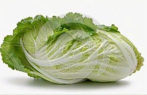 Chinese cabbage, cut out on white background, cut out on white background