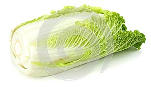 chinese cabbage isolated on a white background