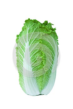 Chinese cabbage isolated on white background