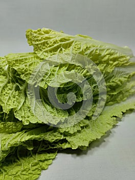 chinese cabbage or napa cabbage