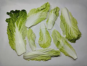 chinese cabbage or napa cabbage