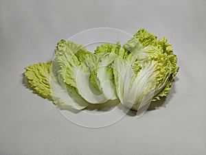 chinese cabbage or napa cabbage