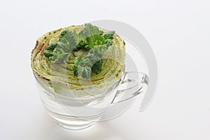 Chinese cabbage re-sprouts from the old plant in a glass with water on white background. Vegetables rebounding in water glass