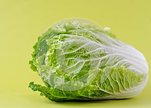 Chinese cabbage or salad Romano
