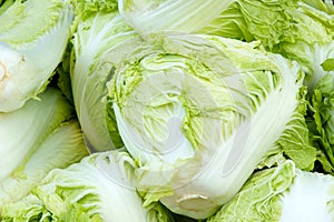 Chinese cabbages