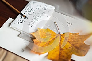 Chinese Calligraphy with leaf
