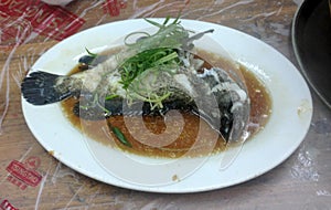 Chinese Cantonese Food Macau Seafood Cuisine Macao China Macanese Cuisine Hot Fresh Steamed Fish Dish Lunch Dinner Meal Soy Sauce