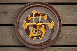 Chinese character made of chanterelle