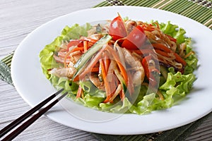 Chinese chicken salad with roasted vegetables, horizontal