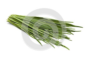 Chinese chives photo