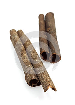 Chinese Cinnamon or Cassia Cinnamon, cinnamomum aromaticum