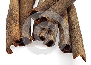 Chinese Cinnamon or Cassia Cinnamon, cinnamomum aromaticum