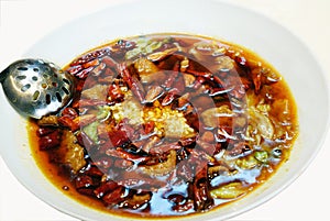 Chinese Classic Sichuan Cuisine - - Boiled beef .